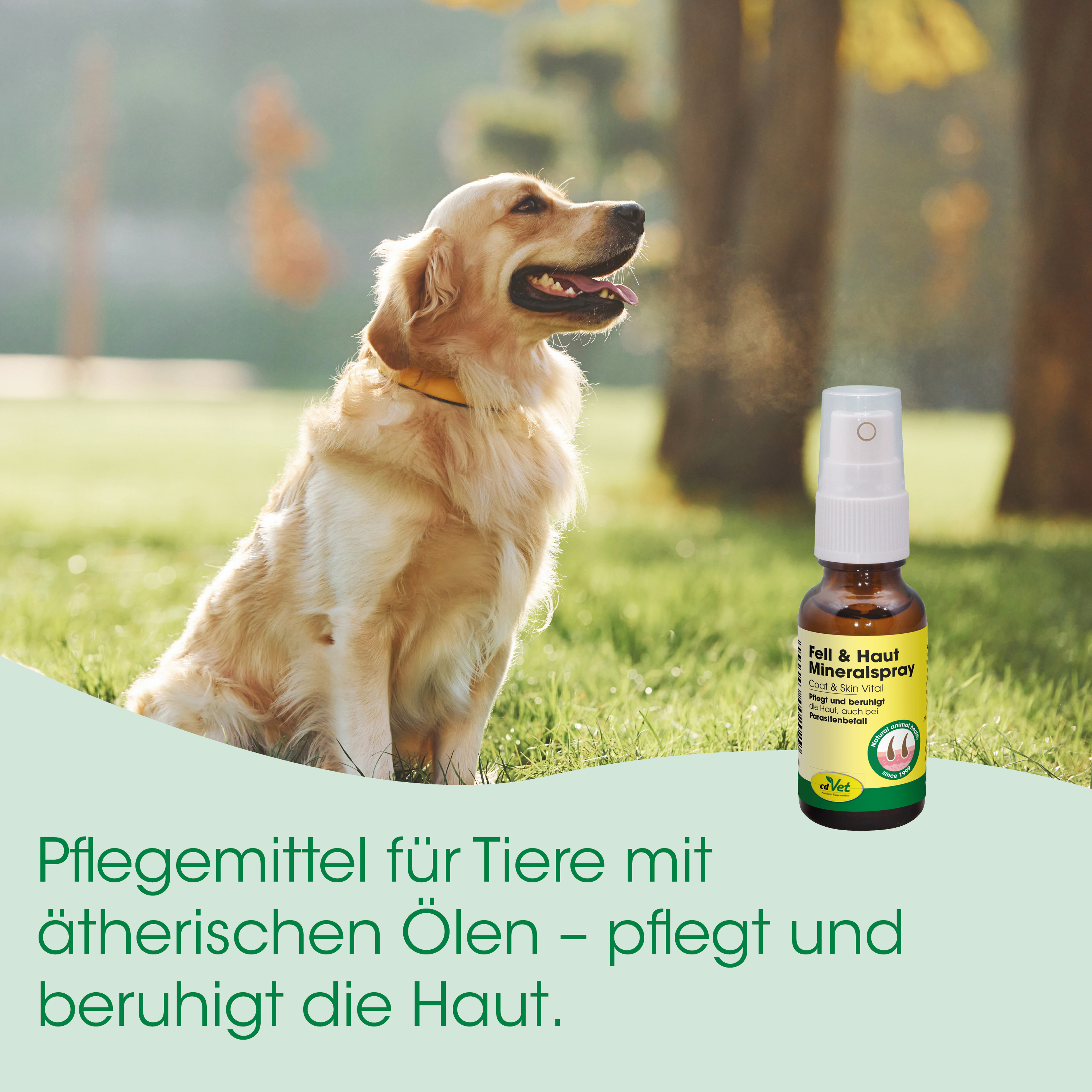 Hund, Pflegemittel, Öle, Mineral, Spray