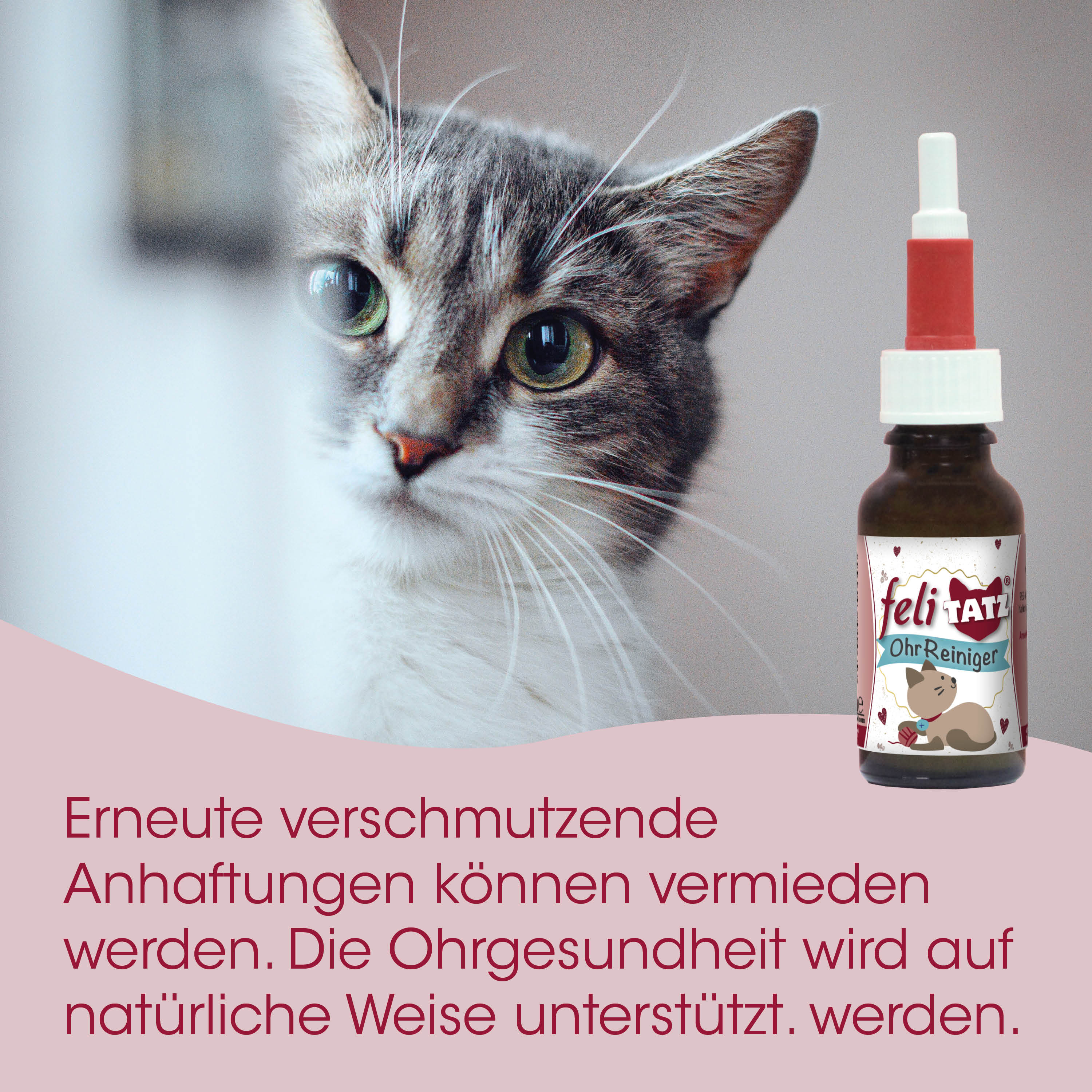Katze, Augenpflege, Ohrreiniger, Tierprodukt, Spray-Flasche
