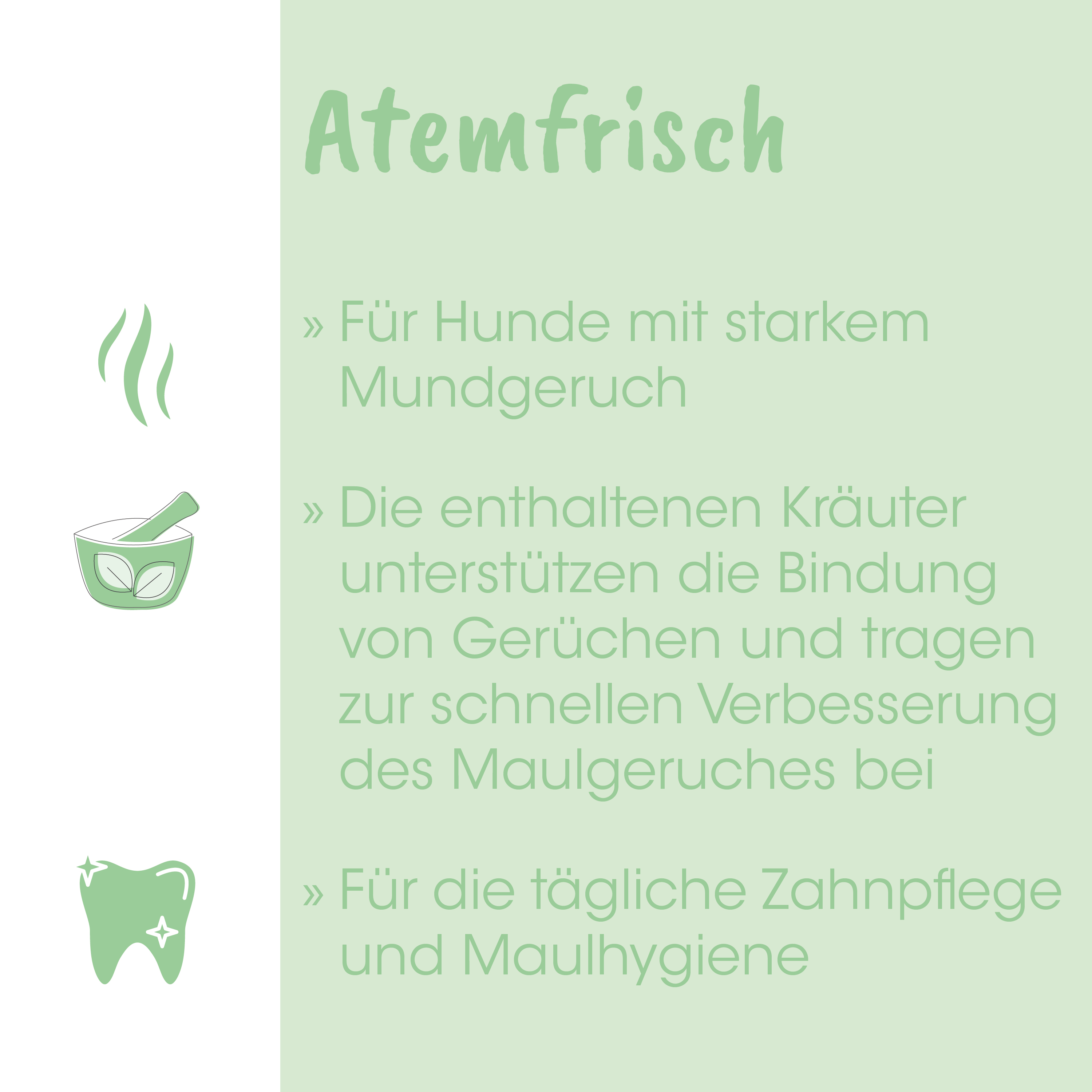 Atemfrisch, Mundgeruch, Kräuter, Zahnpflege, Maulhygiene