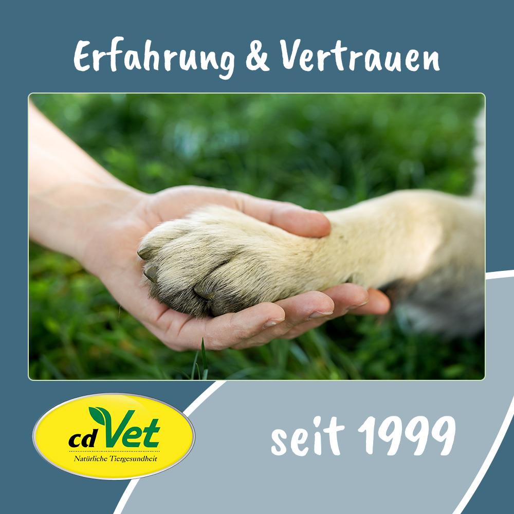 Hunde-Pfote, Handhaltung, Tierpflege, Handschlag, Markenlos