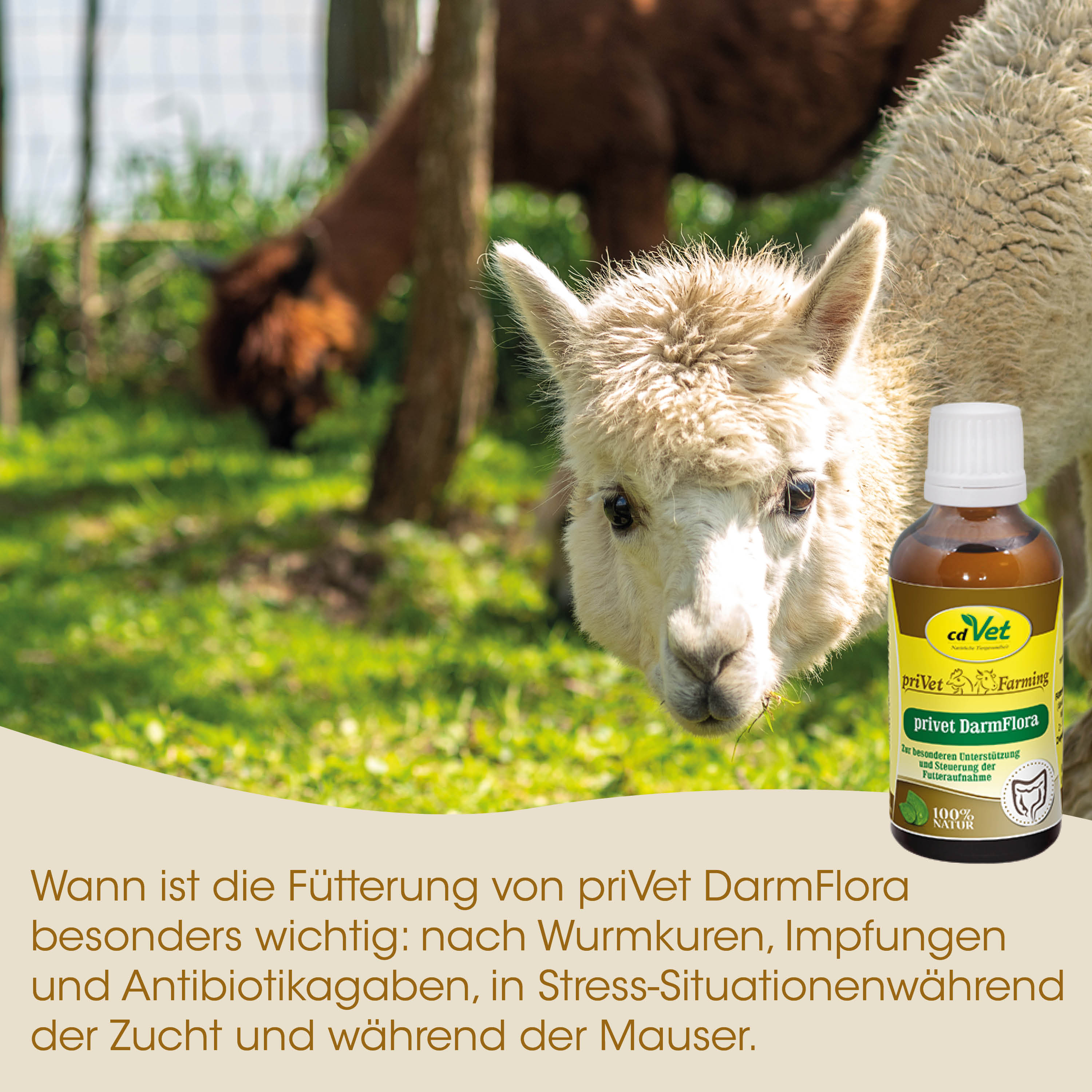 Lama, Tierfutter, Flasche, Pharmafutter, Klinikverpackung