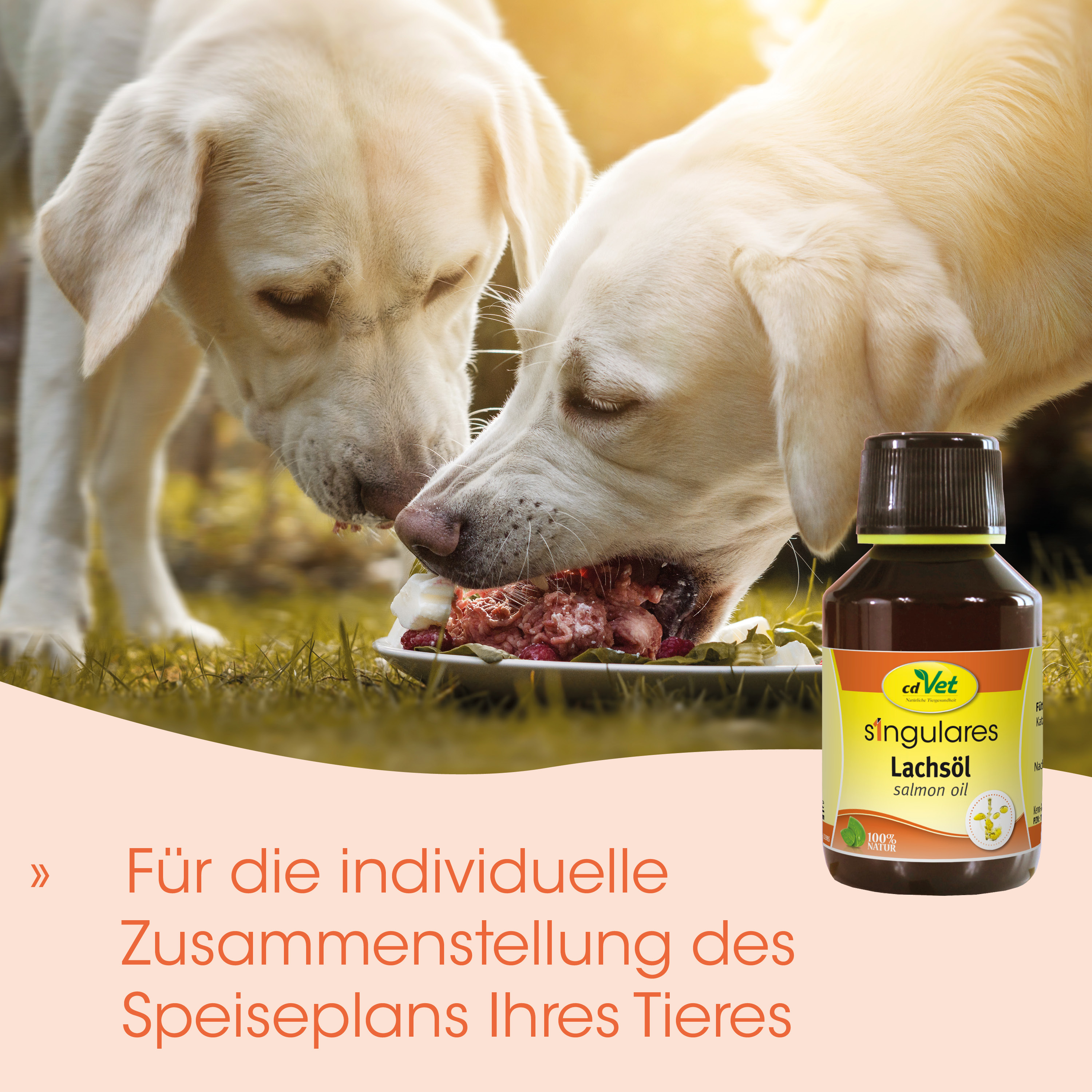 Hundefutter, Lachsöl, Tierergänzung, Schale, Außenbereich