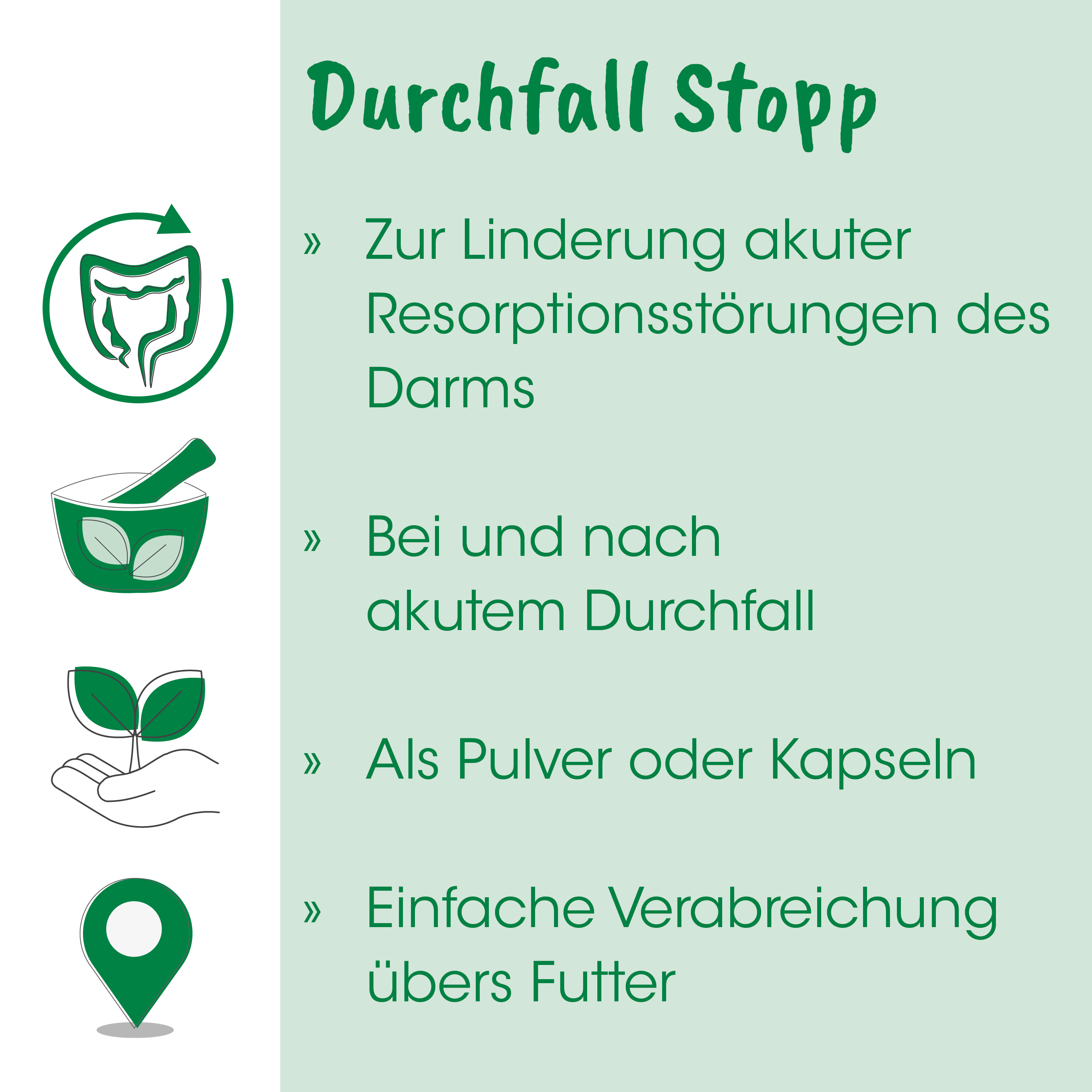 Durchfall Stopp, Kapseln, Pulver, Pflanzenextrakt, Natürliche Mischung