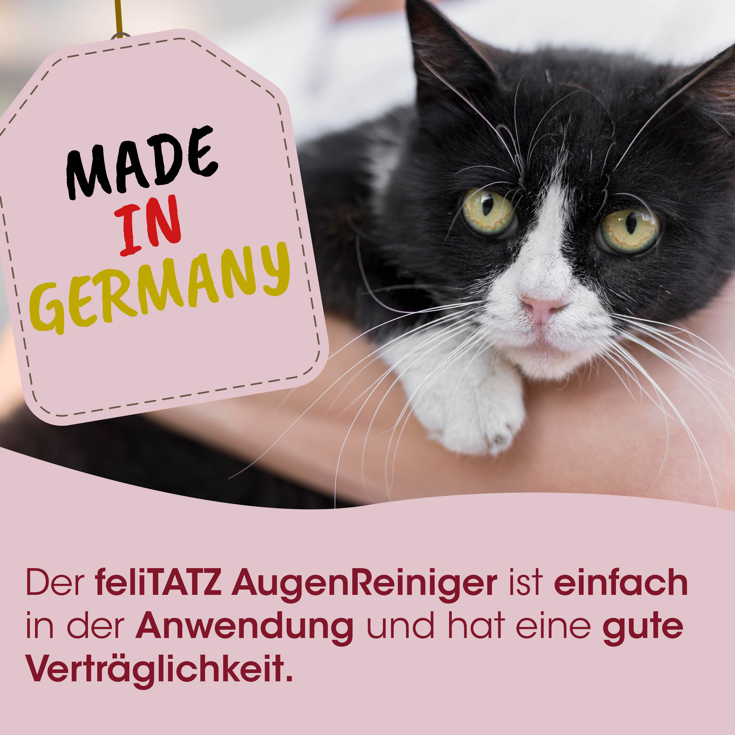 Katzenfoto, Schwarz-weiß, Haustier, Pflegehinweis, Made in Germany
