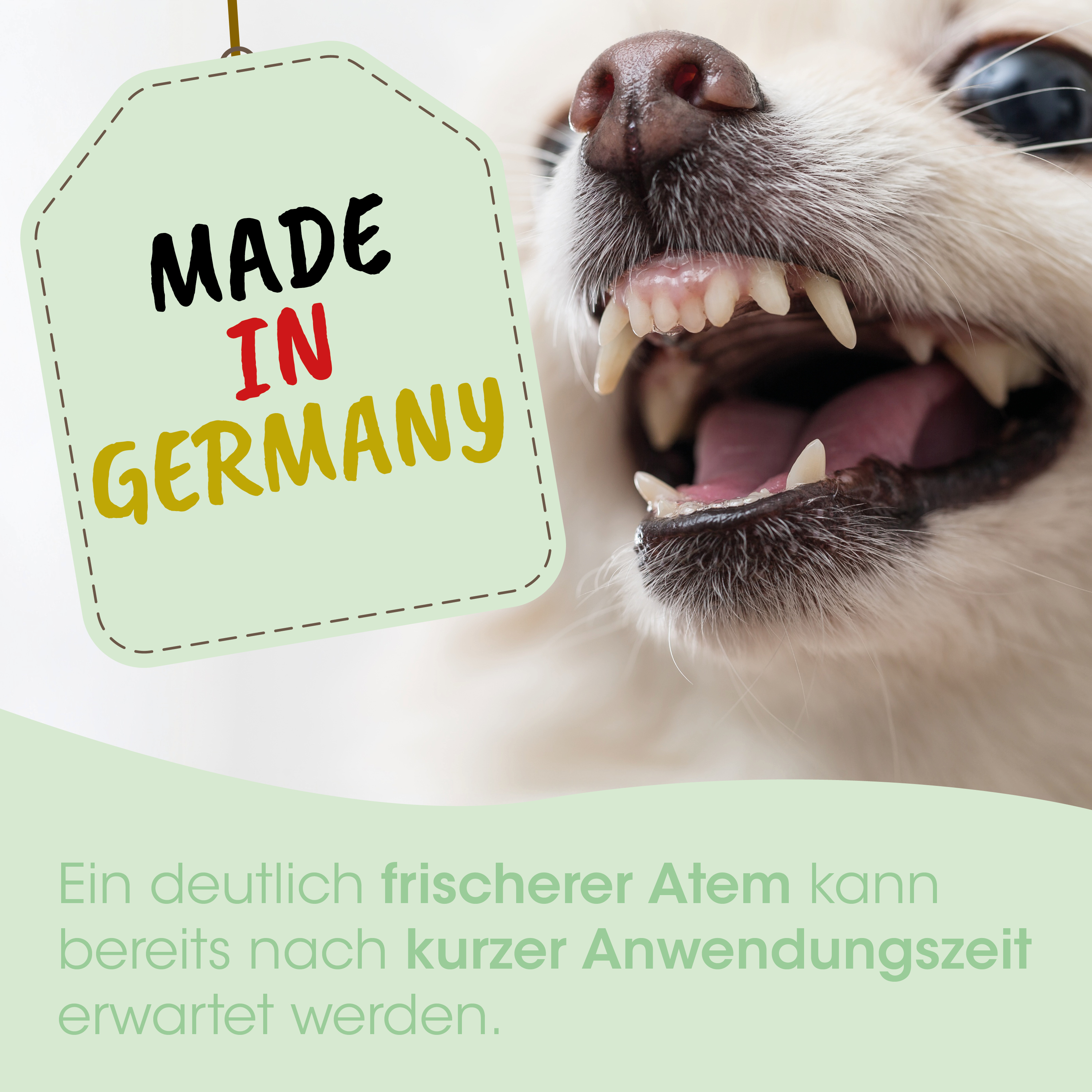 dog, Mund, Zähne, Nahaufnahme, Etikett, Made in Germany